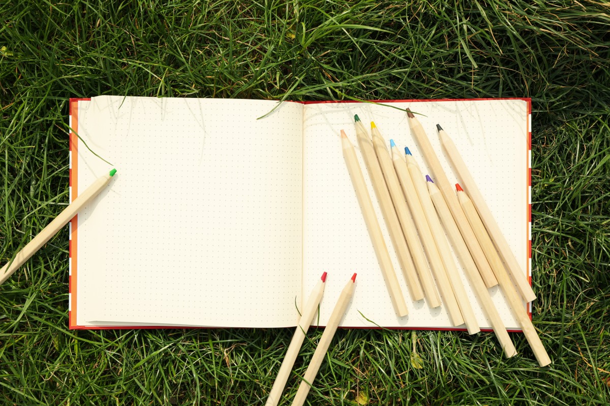 Oiartzungo ikastetxeen inguruko airea EAEko garbiena da, Ekologistak Martxan erakundearen azterketa baten arabera